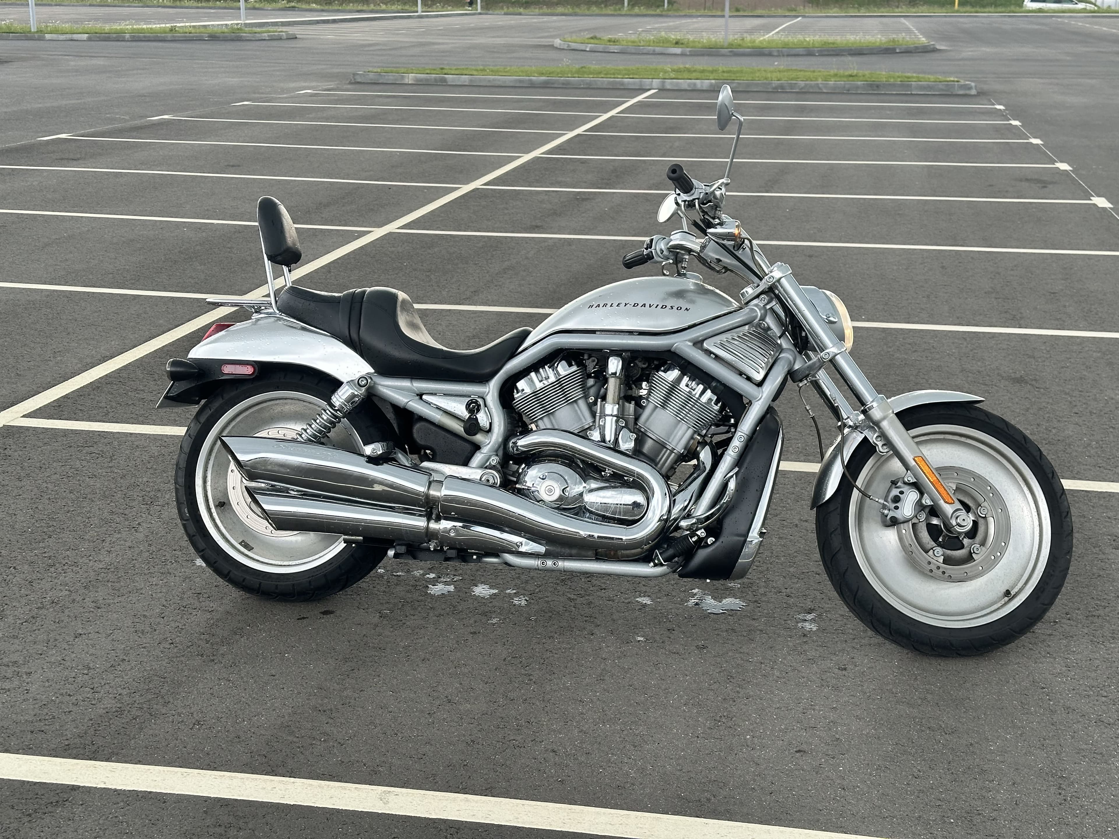 Harley Davidson VRSCA